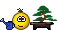 Бонсай :bonsai: